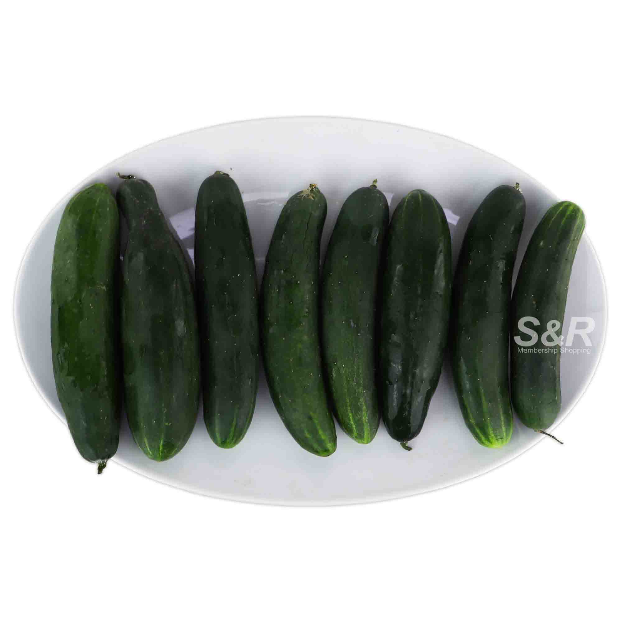 S&R Cucumber approx. 3.5kg